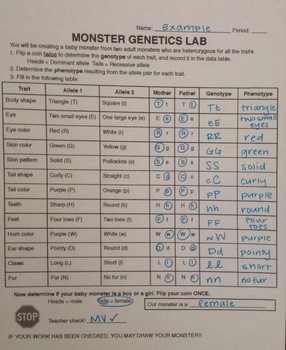 Monster Genetics Lab Activity Worksheets Library