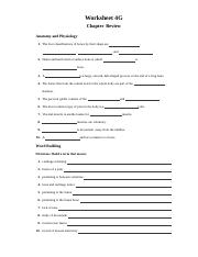 MT REVIEW Worksheet 4G 1 docx Worksheet 4G Chapter Review Anatomy 