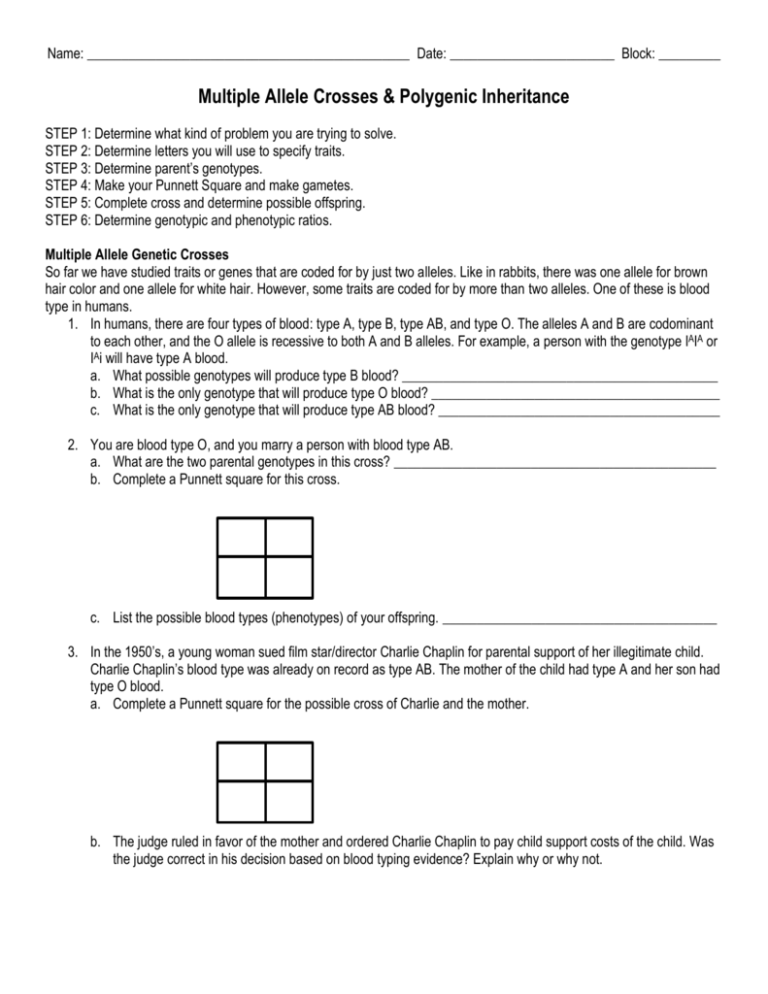 Multiple Allele Polygenic Inheritance Worksheet