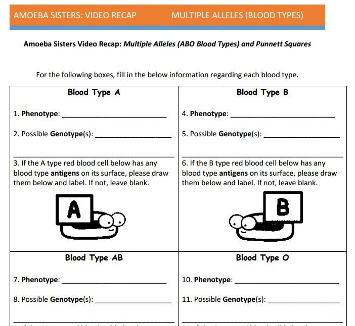 Multiple Alleles Punnett Square Blood Type A And B Blood Type Articles