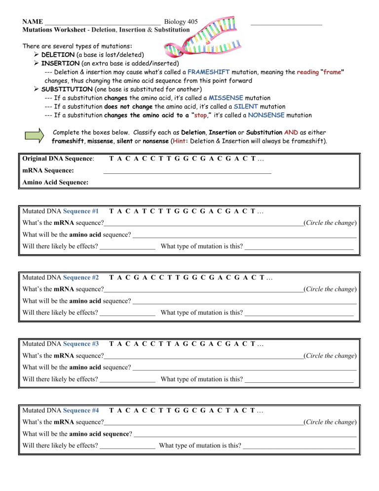 Mutation Worksheet Deletion Insertion Substitution