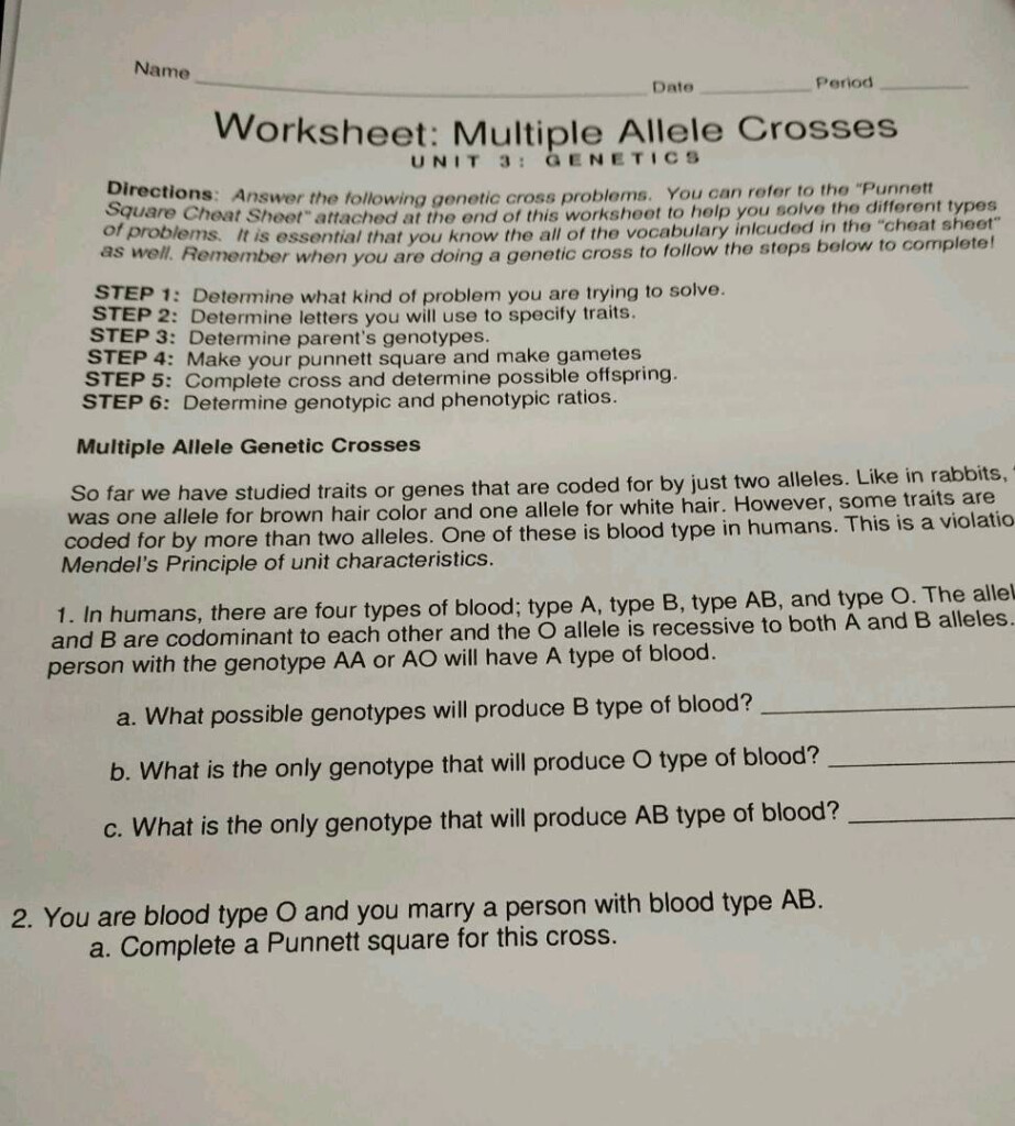 Name Date Period Worksheet Multiple Allele StudyX