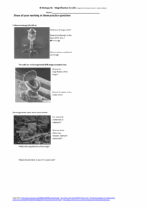Name Show All Your Working In These Practice Questions IB Biology HL