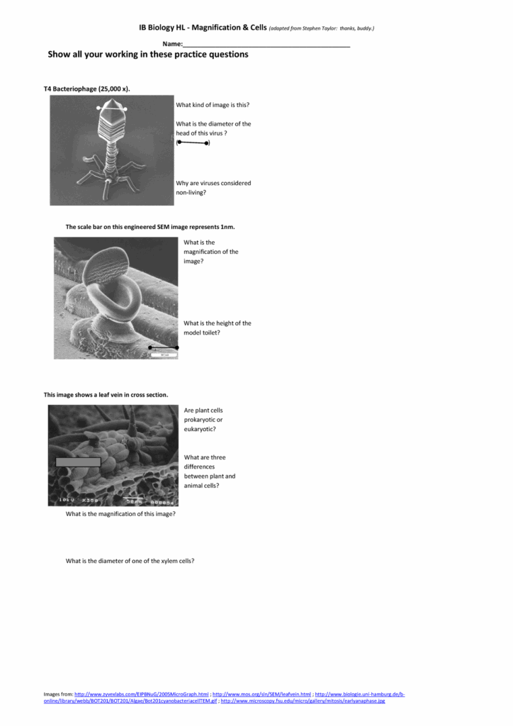 Name Show All Your Working In These Practice Questions IB Biology HL 