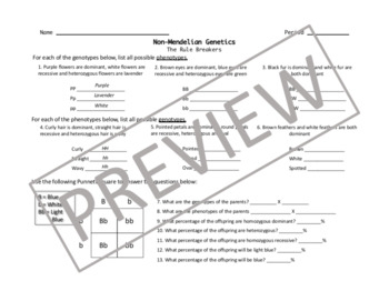 Non Mendelian Genetics Punnett Square Worksheet By Windham Science