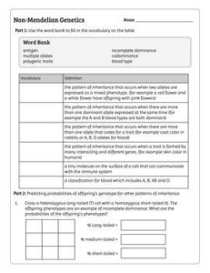 Non Mendelian Genetics Punnett Square Worksheet TPT