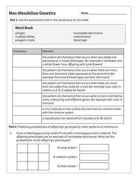 Non Mendelian Genetics Punnett Square Worksheet TPT