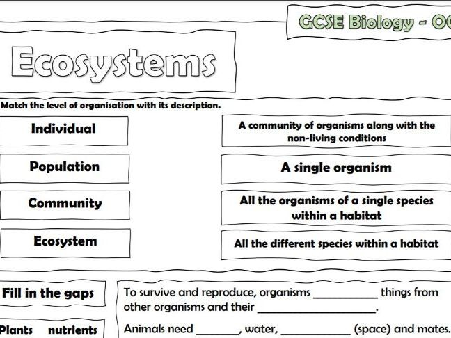 OCR GCSE Biology Ecosystems Worksheet Answer Sheet Teaching Resources