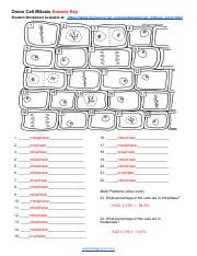 OnionCellMitosisAnswerKey pdf Onion Cell Mitosis Answer Key Student 