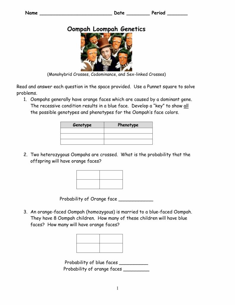 Oompa Loompa Genetics And Others Answer Key Free Worksheet By Razanac 