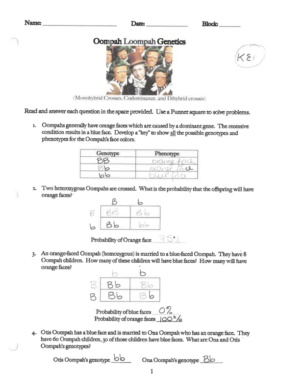 Oompa Loompa Genetics And Others Answer Key Free Worksheet By Razanac 