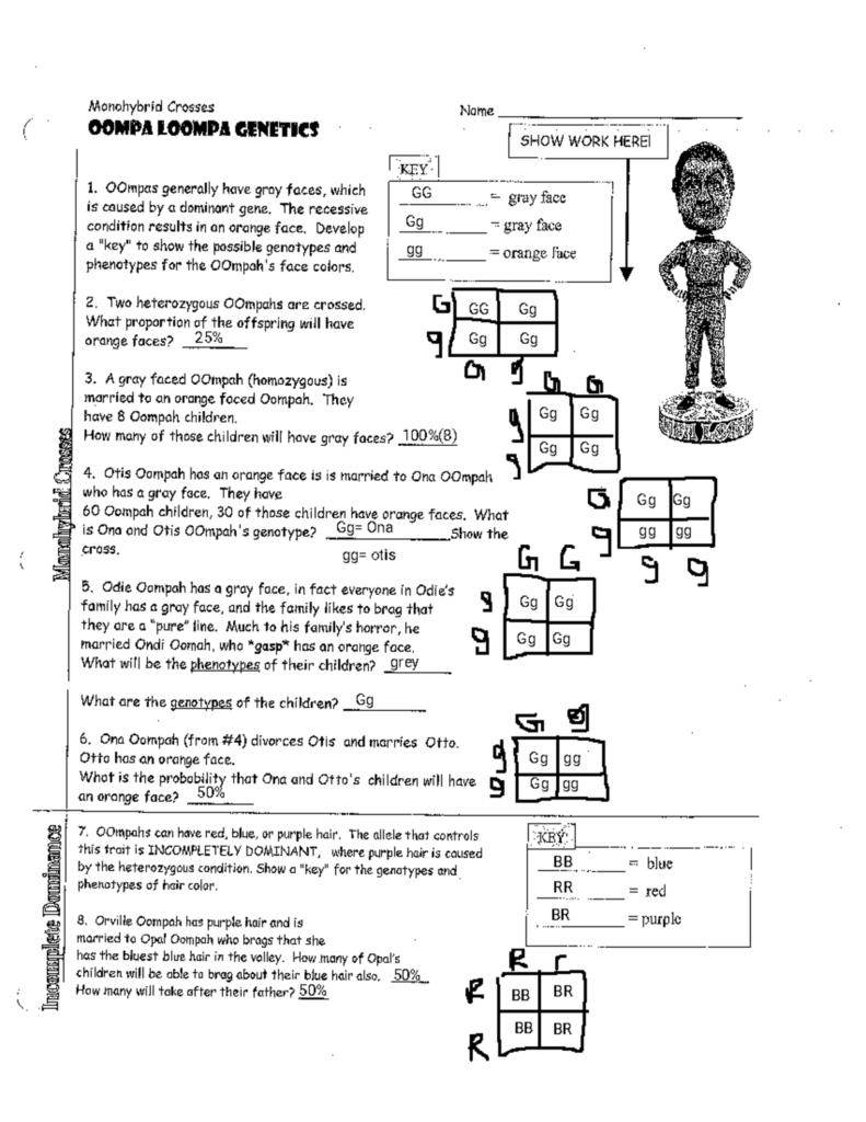 Oompa Loompa Genetics Worksheets