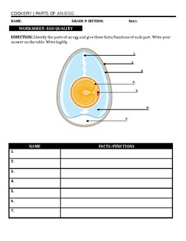 PARTS OF AN EGG By ARAL BUDDIES Teachers Pay Teachers