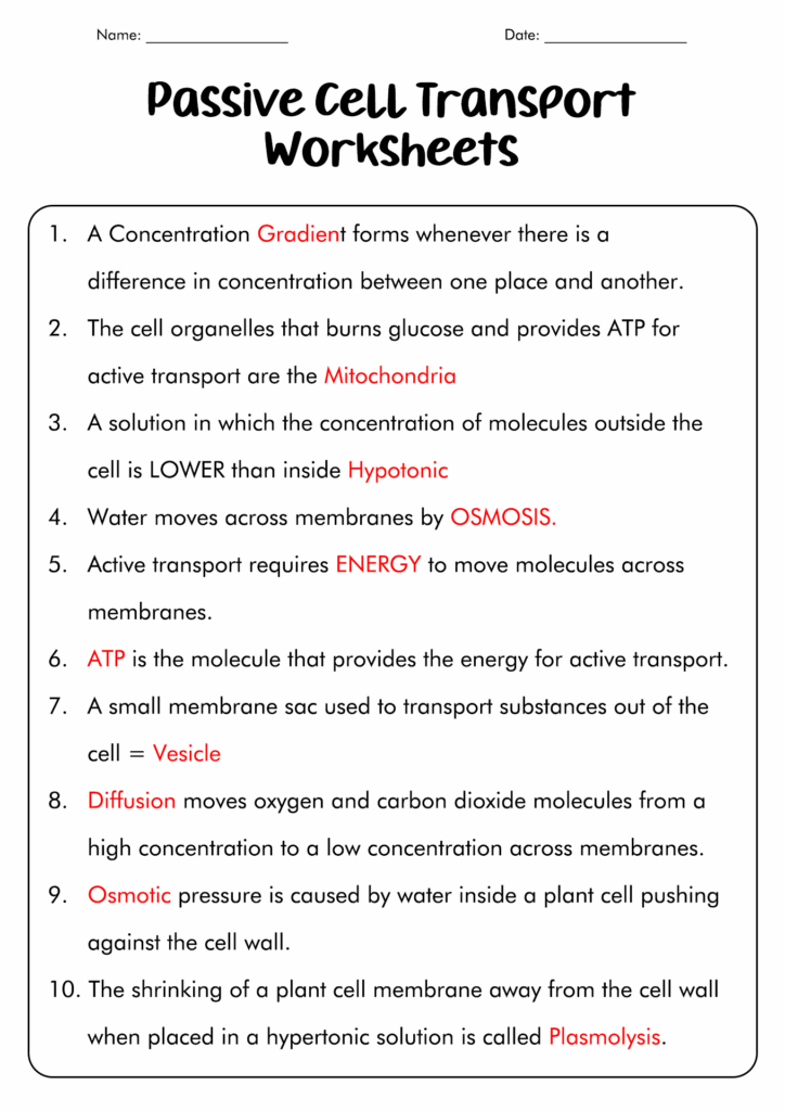 Passive and active transport worksheet answer key