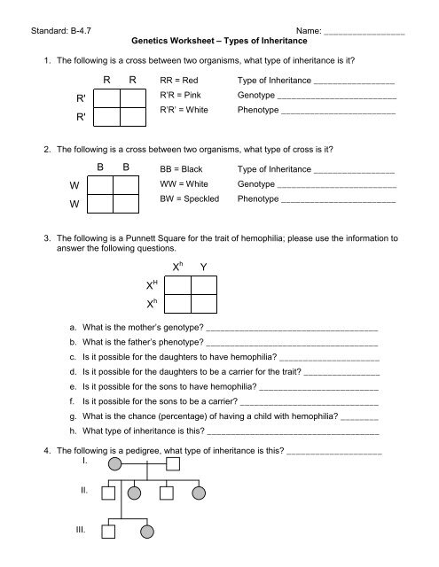 Patterns Of Inheritance Worksheet
