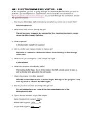 PCR Lab Sheet With Answers docx Student Web Quest PCR Source Genetic 