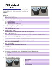 PCR Virtual Lab ECampus docx PCR Virtual Go To The Learn Genetics 