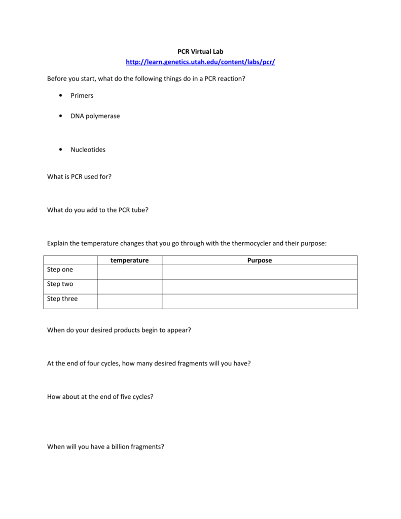 PCR Virtual Lab Http learn genetics utah edu content labs pcr