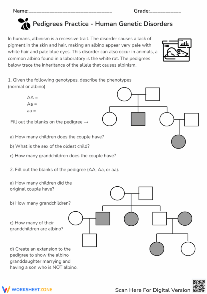 PDF Human Genetic Disorders Worksheets Library