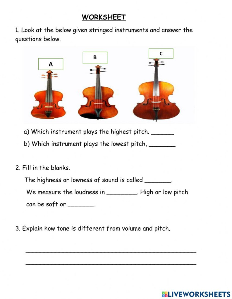 Pearson Science Zoology Grade 4 Worksheet Scienceworksheets