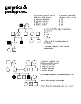 Pedigree Chart Genetics Worksheets