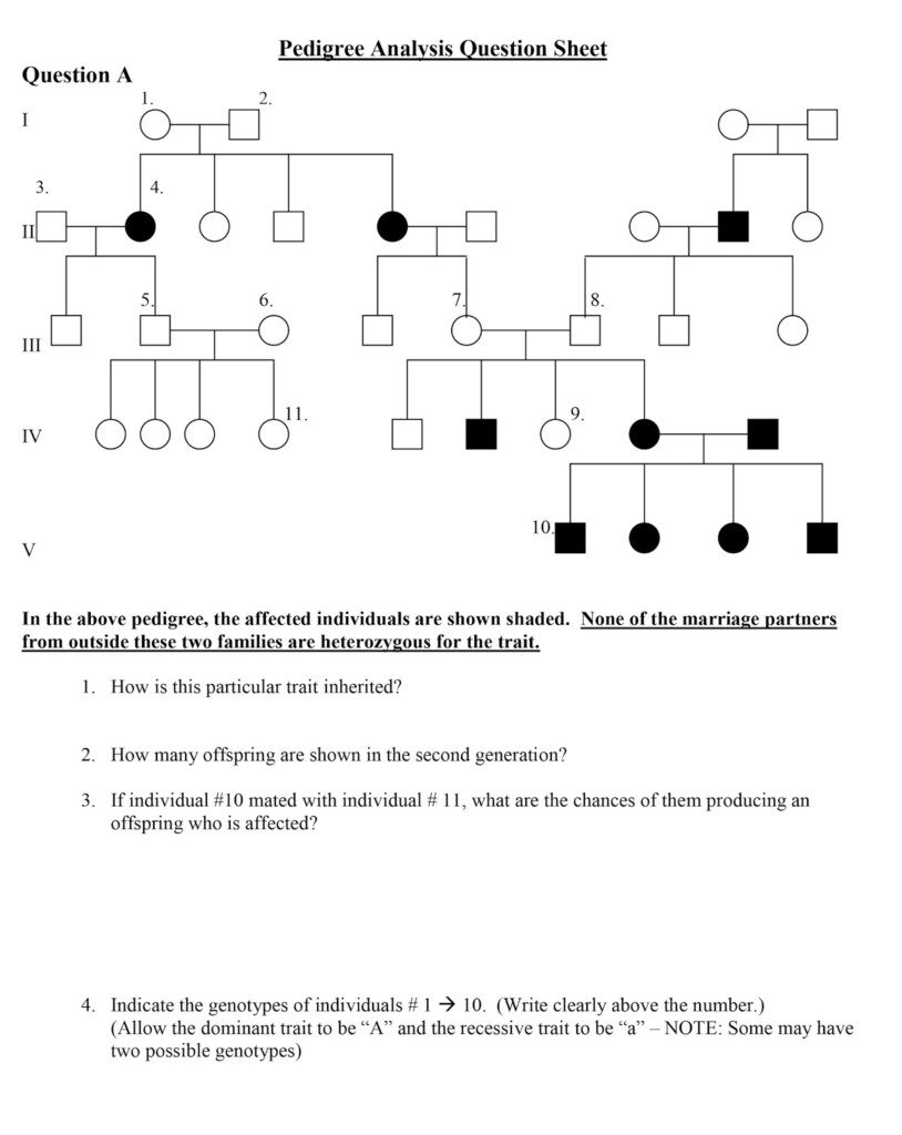 Pedigree Chart Practice Worksheet