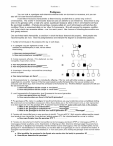 Pedigree Genetics Inferences X Linked Disorders Worksheet Answer Key