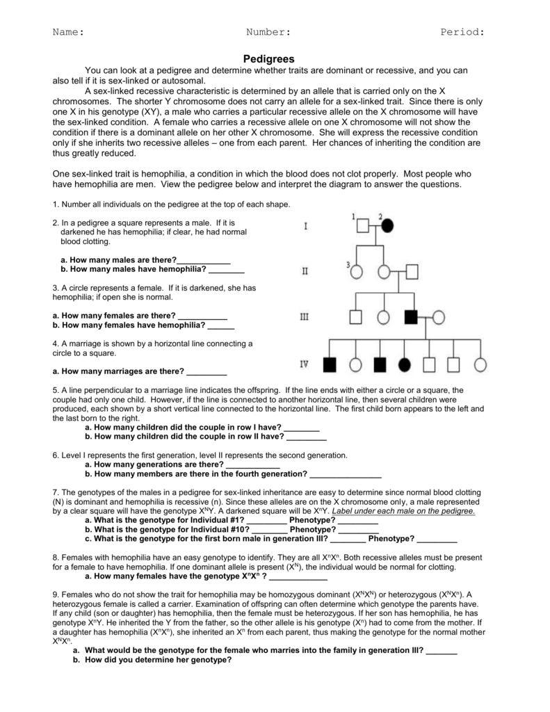 Pedigree Genetics Inferences X Linked Disorders Worksheet Answer Key 