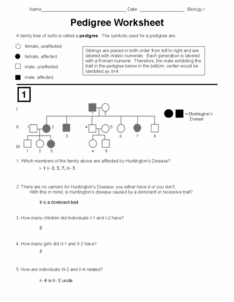 Pedigree Practice Problems Questions Worksheet Name 