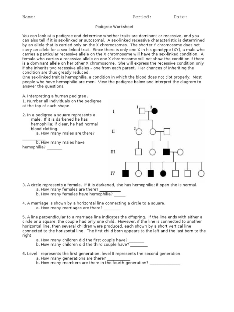 Pedigree Worksheet 2 PDF Dominance Genetics Haemophilia 