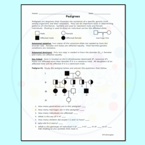 Pedigrees Worksheet For Genetics Made By Teachers