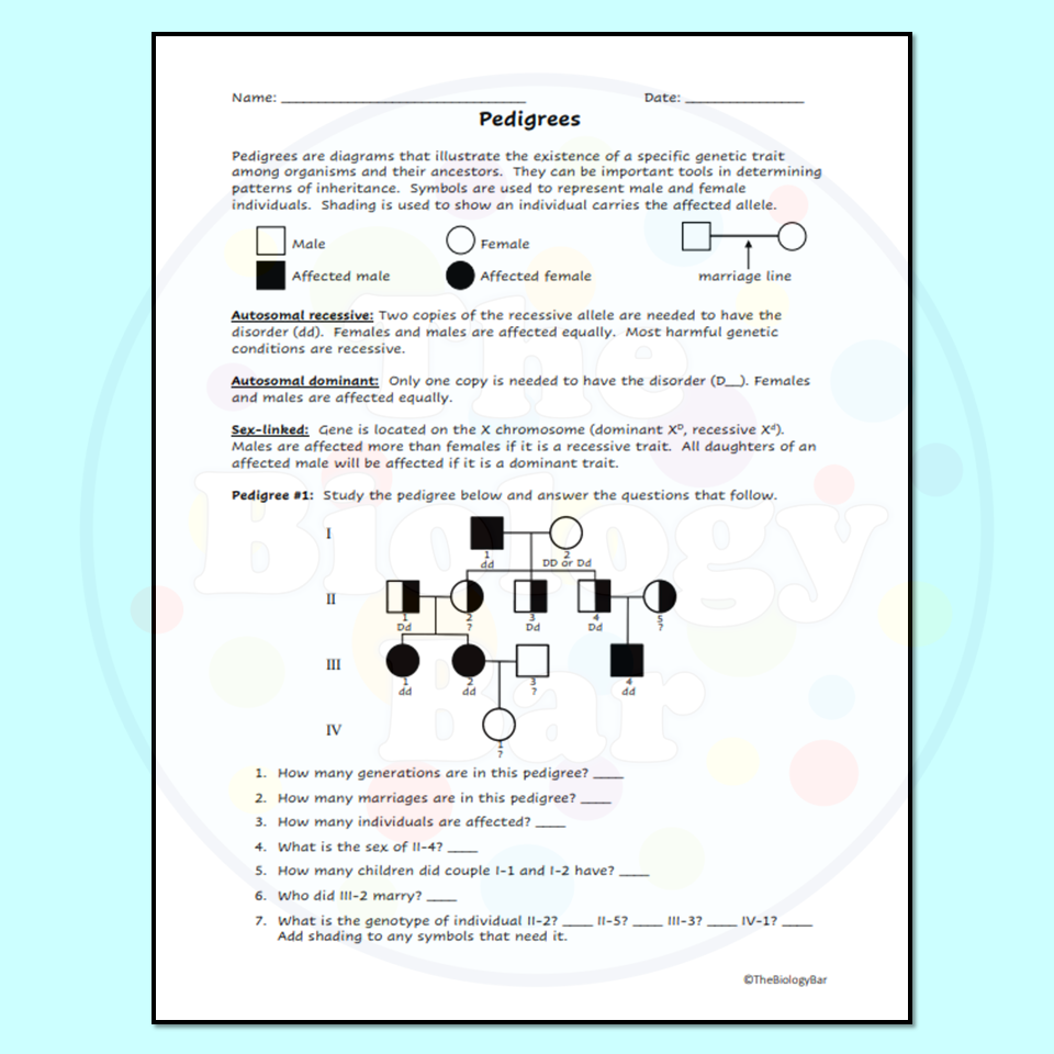 Pedigrees Worksheet For Genetics Made By Teachers