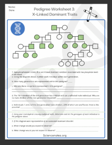Pedigrees Worksheet For Genetics Made By Teachers Worksheets Library