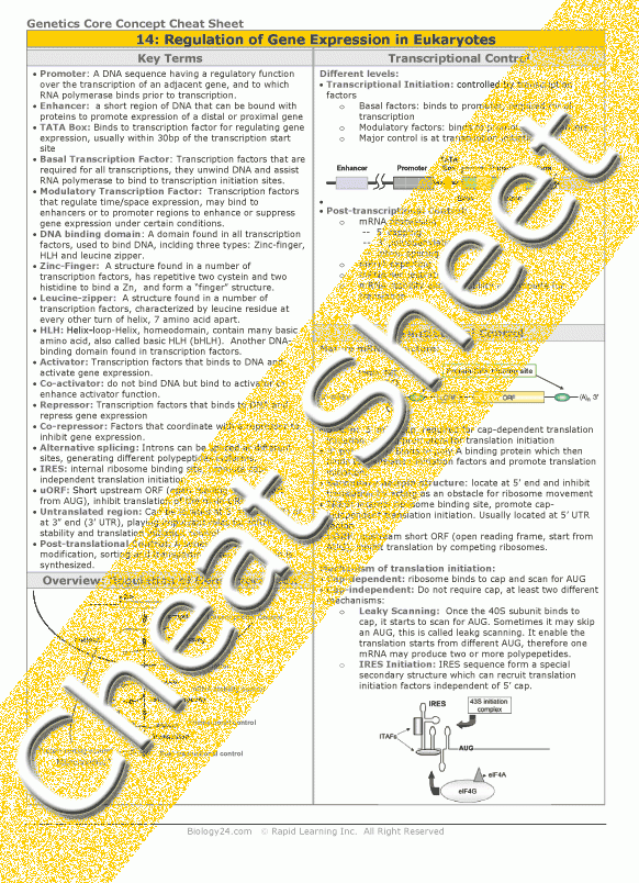 Pogil Activities For Ap Biology Answer Key Control Of Gene Expression 