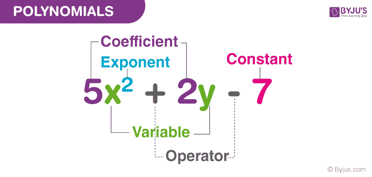 Polynomials Class 10 Maths Chapter 2 Notes
