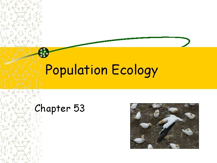 Population Ecology Chapter 53 Population Groups Of Individual