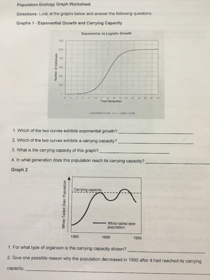 Population Ecology Graph Worksheet Answers Db excel