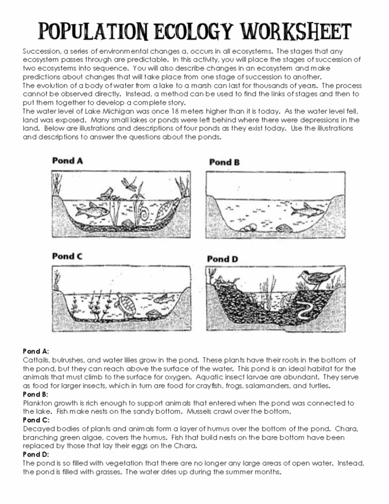 Population Ecology Worksheet Succession A Series Of Environmental 