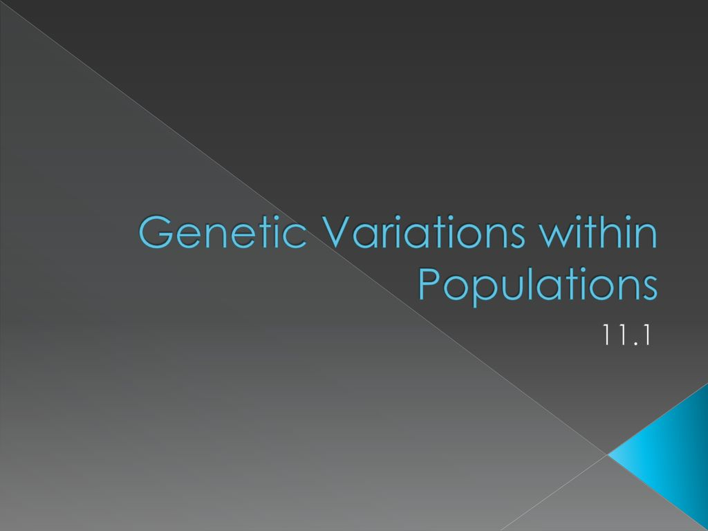 Ppt Download