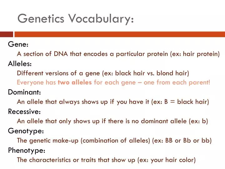 PPT Genetics Vocabulary PowerPoint Presentation Free Download ID 