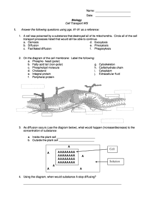 Pre Ap Biology Cell Transport Worksheet Answers Fill And Sign