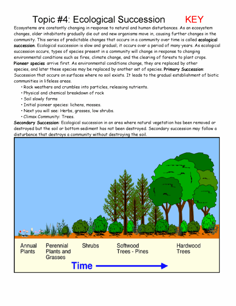 Primary And Secondary Succession By Scientifically Speaking Is My 