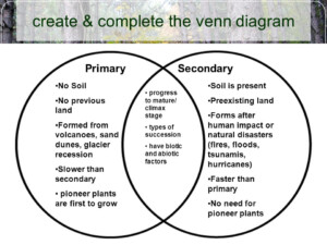 Primary And Secondary Succession Venn Diagram Wiring Site Resource