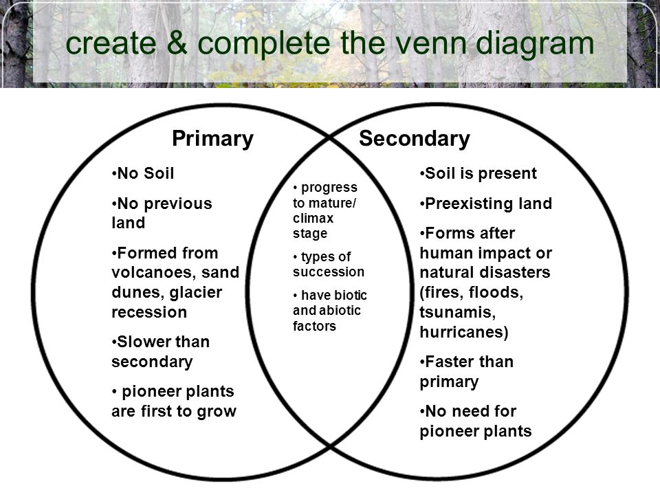 Primary And Secondary Succession Venn Diagram Wiring Site Resource