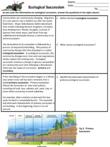 Primary And Secondary Succession Worksheet