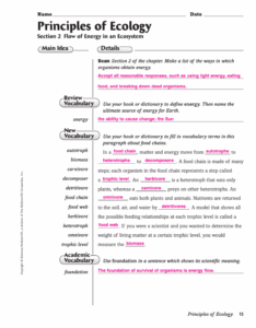 Principles Of Ecology