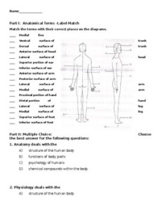 Printable Anatomical Terminology Worksheet