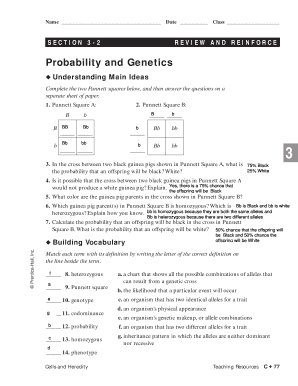 Probability In Genetics Worksheet Answer Key TUTORE ORG Master Of 