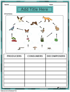 Producers And Consumers Worksheets Ecology Activities