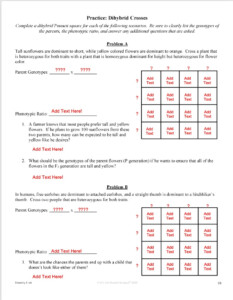 Punnett Square Dihybrid Crosses Worksheets
